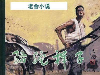 深入了解 悠悠捅主任